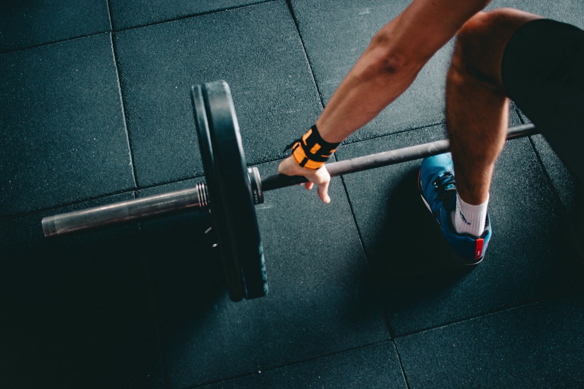 Professional gym training environment