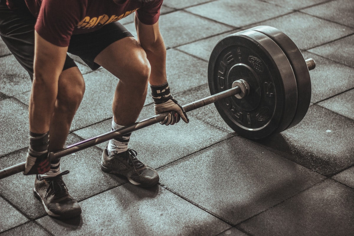 Proper squat form guide